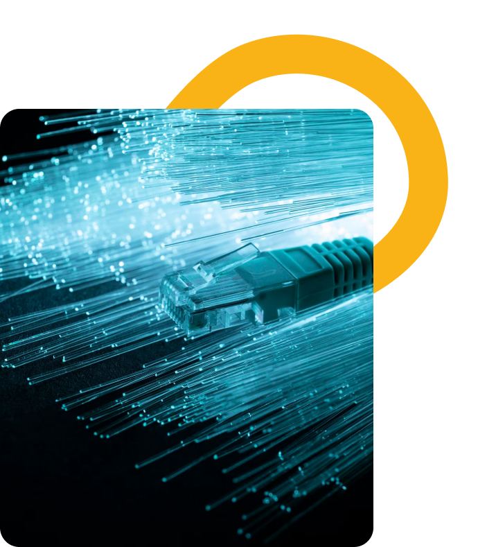 network connectivity network connectivity